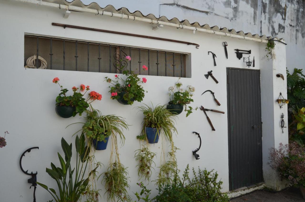 Casa Miler Lägenhet Sanlúcar de Barrameda Exteriör bild